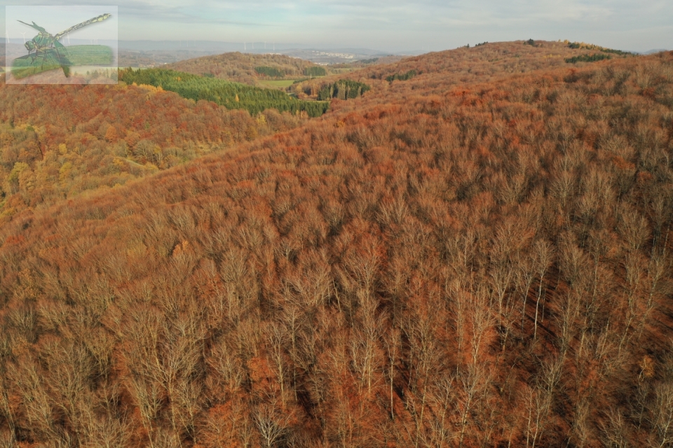 24Nov19-beiGronig-596